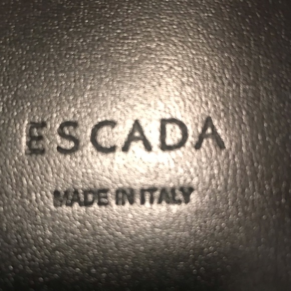 NWT Escada Leather Wide Waist Woman’s Belt Brown Snake Gold Hardware Italy main image 4